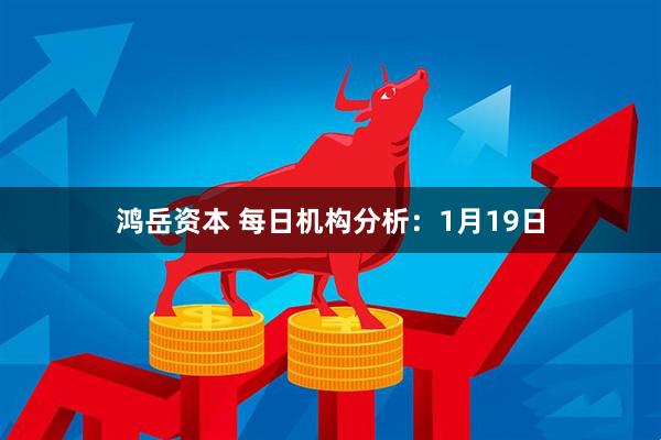 鸿岳资本 每日机构分析：1月19日