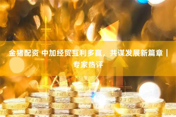 金猪配资 中加经贸互利多赢，共谋发展新篇章｜专家热评