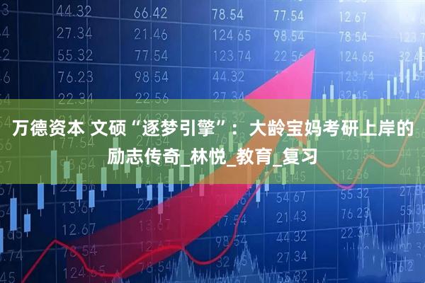 万德资本 文硕“逐梦引擎”：大龄宝妈考研上岸的励志传奇_林悦_教育_复习